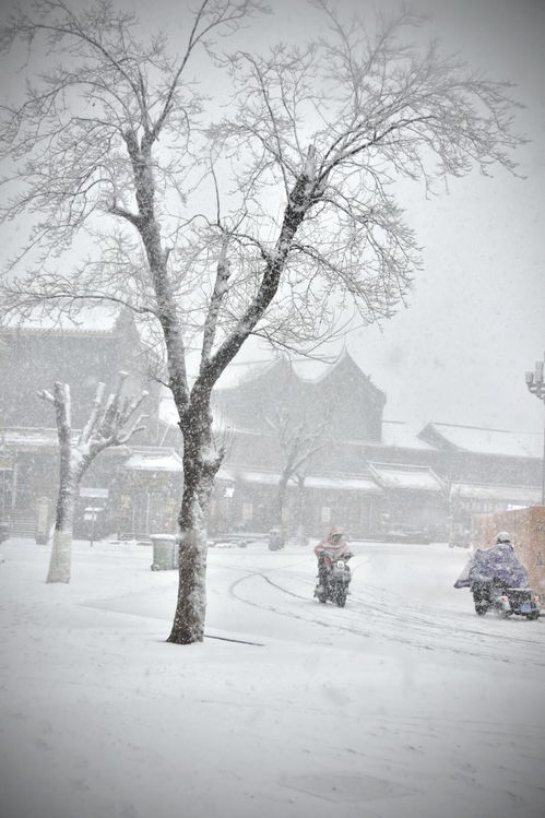 攝影名家李超作品《風雪行》文藝創作欣賞