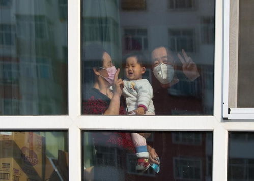 關于征集2020年青年文藝創作扶持計劃項目企業形象策劃方案的通知